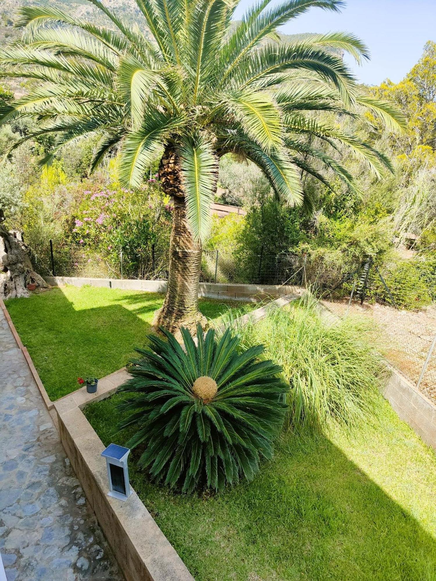 Villa Capllonch Banyalbufar Exterior foto